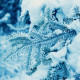 Цветотип Холодная Зима (Cool Winter, True Winter, Классическая Зима). Характеристики цветотипа Холодная Зима, палитра, гардероб.