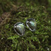Серебряные серьги пусеты с зеленовато-голубыми лабрадорами