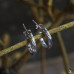 Небольшие серебряные серьги-полукольца “Ветви омелы” (узкие)