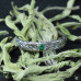 Серебряное кольцо “Лесное сокровище” с гидротермальным изумрудом