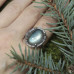 Серебряное кольцо "Кора магического древа" с голубым лабрадором