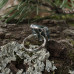 Серебряное кольцо “Кора” с моховым халцедоном