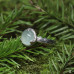 Серебряное кольцо с пренитом и фактурой коры