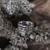 Серебряное кольцо “Три веточки”