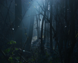 Серебряный кулон “Темный лес” с дымчатым кварцем