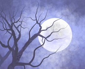 Серебряный кулон “Ветви Лунного леса” с лунным камнем