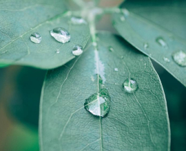 Серебряный кулон “Шелест листьев” с зеленым флюоритом